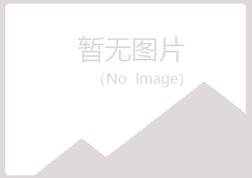 辽源龙山冰彤化学有限公司